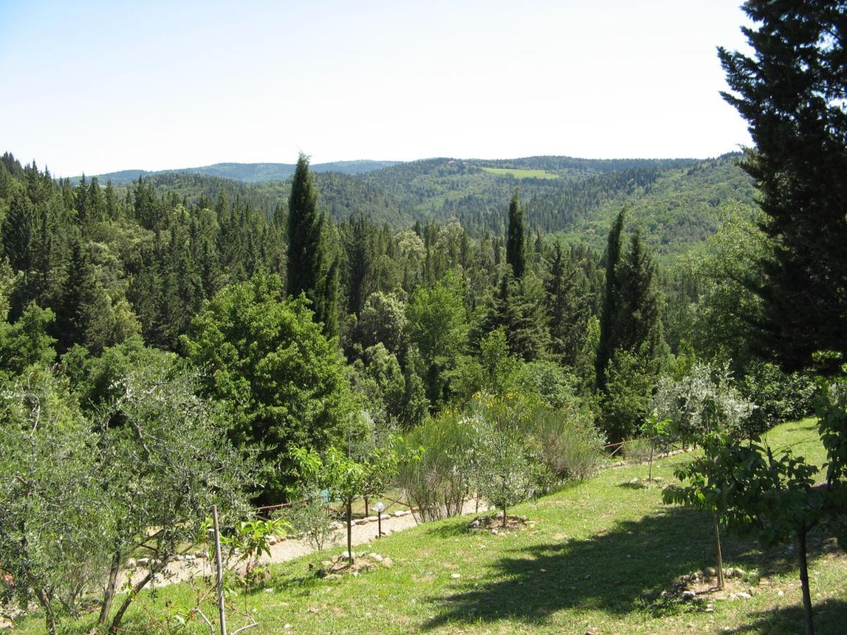 Monsanto Tenuta La Cipresseta מראה חיצוני תמונה